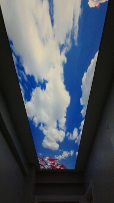 Gökyüzü Desenli Barissol Tavan