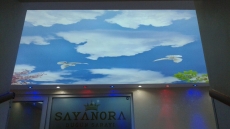 Gaziosmanpa�a resimli germe tavan uygulamalar� 