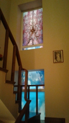 D�� �ephe gergi duvar, i� cephe gergi duvar