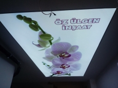 �z �lgen �n�aat Gergi Tavan �al��mam�z