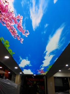 Gergi tavan evim �ahane