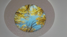 Dairesel transparan Gergi tavan