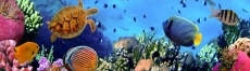 3D  Mutfak Tezgah Aras�