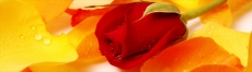 3D  Mutfak Tezgah Aras�